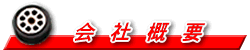 ЊTv
